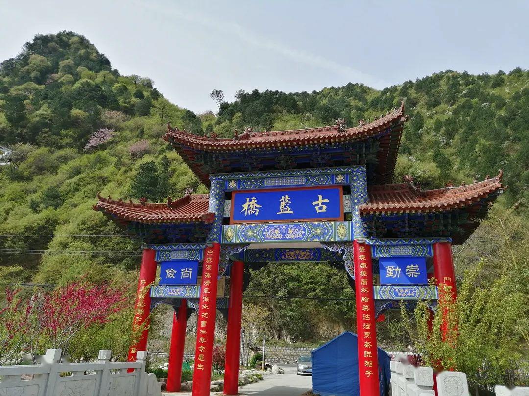 蓝桥镇:建设美丽乡村 营造缤纷美景