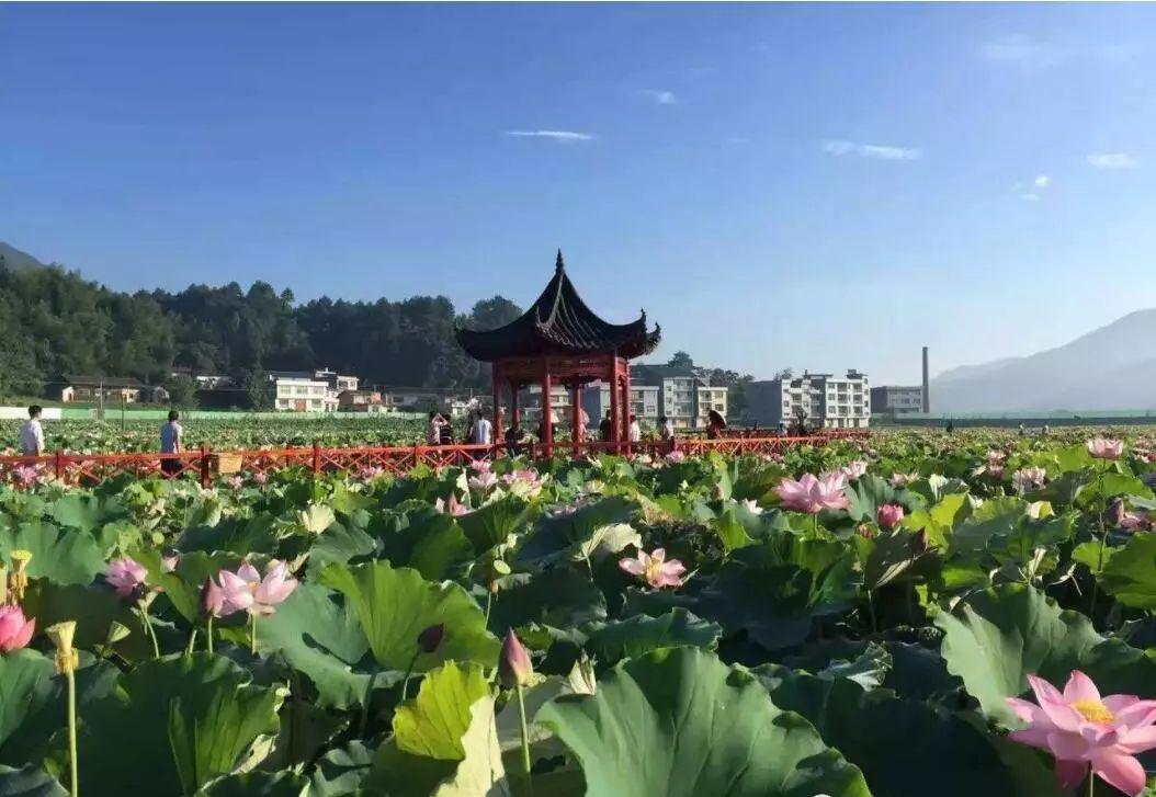丰源庄园溆浦枫香瑶寨森林康养中心溆浦雪峰人家会同益身生态休闲农庄