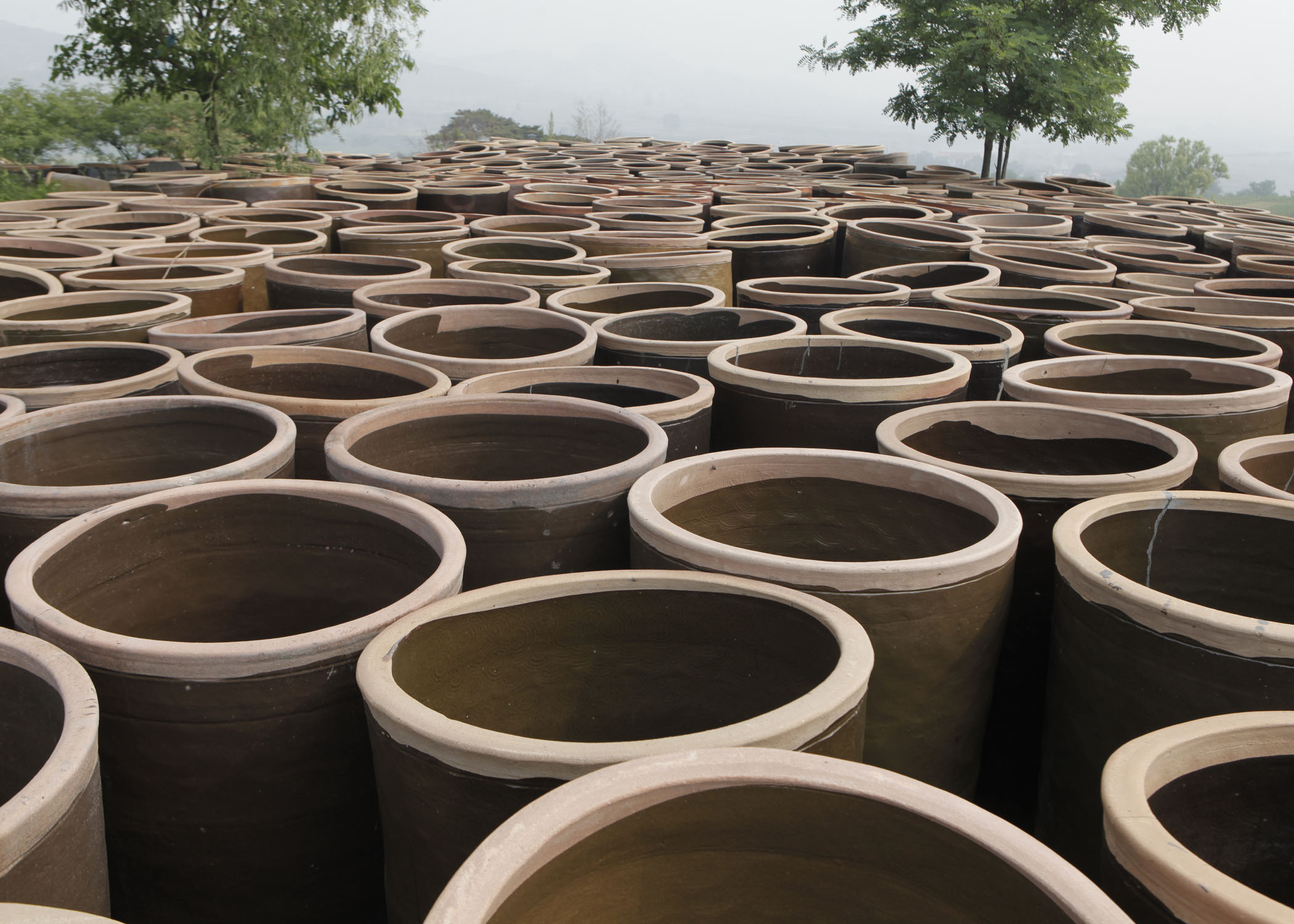 激活老手艺 奏响"缸的琴"手工制缸的工艺很精细复杂,每个泥坯都需要