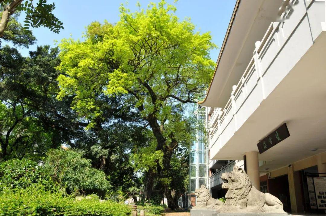 归来琼华待你冠冕广雅中学致高三学生与家长的一封信