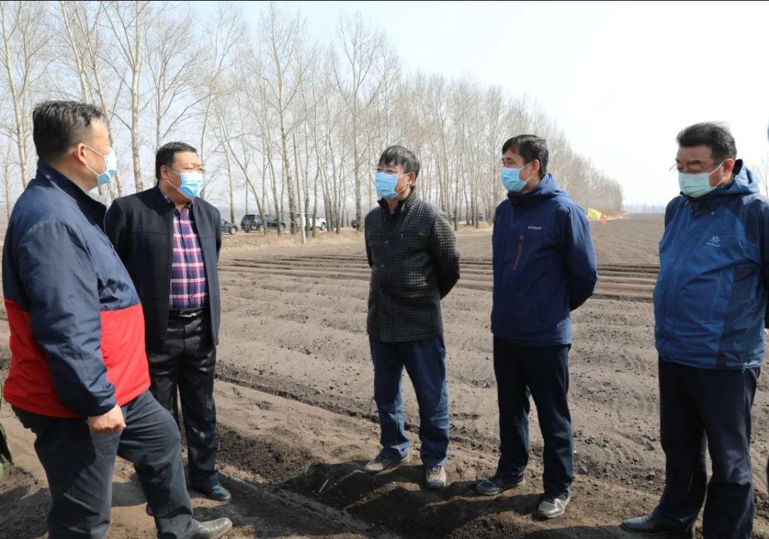 北安分公司管理局党委书记柳毅到龙镇农场有限公司检查指导疫情防控及
