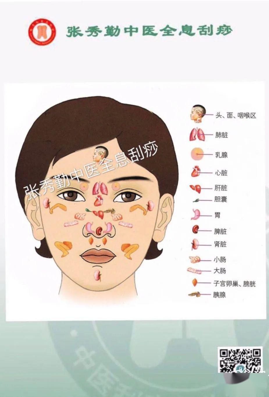 张秀勤面部刮痧不出痧通气血具有微整形效果的美容刮痧方法,是中医