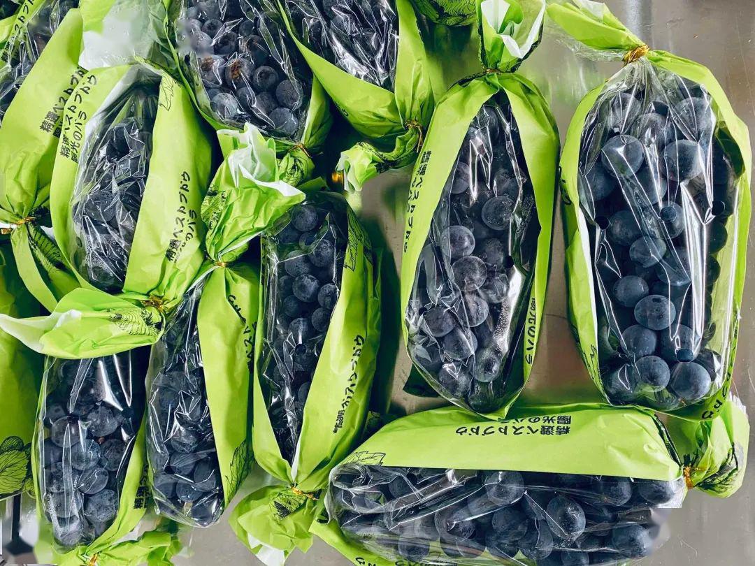 不用吐籽的大蜜蜜夏黑葡萄抢先上市了硬脆q弹爆甜汁像果冻一样吸着吃