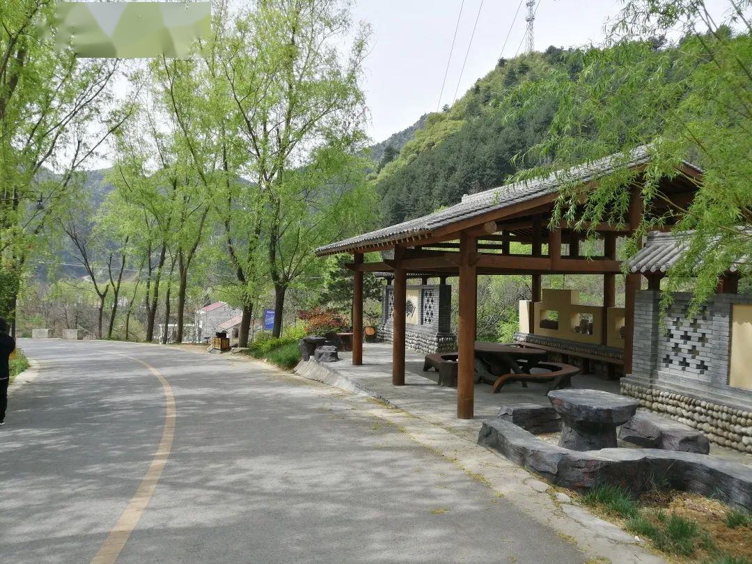 蓝桥镇:建设美丽乡村 营造缤纷美景