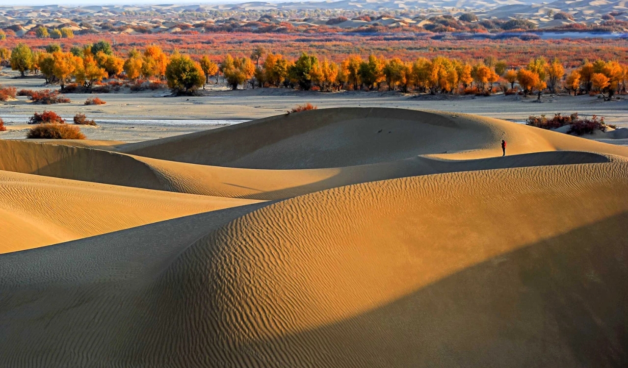 和田世界玉都丝路名城