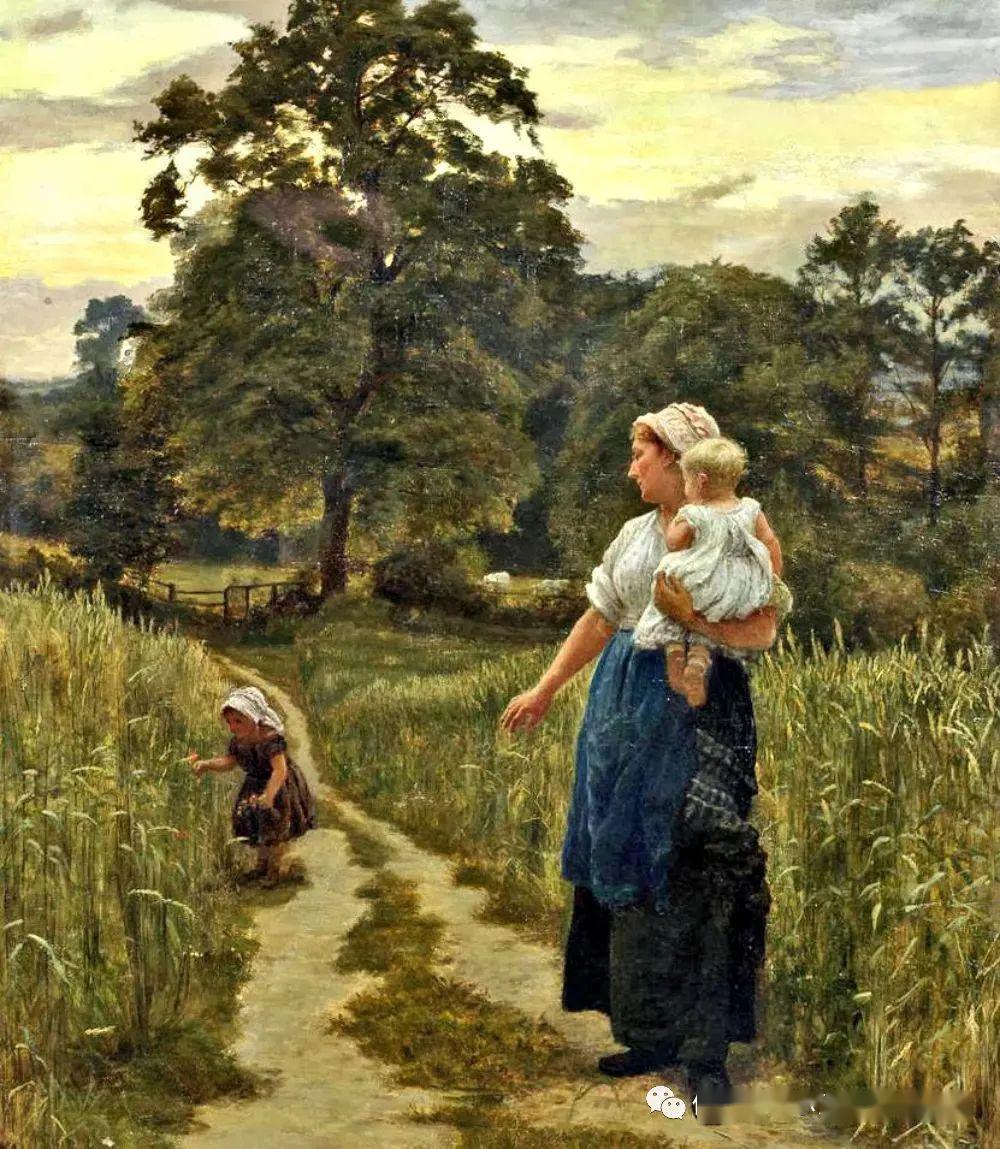 温莎森林 来自搜狐网