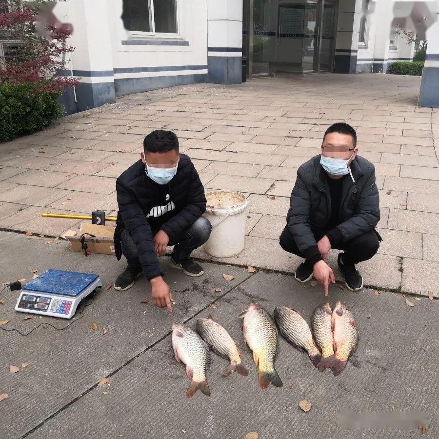 还去长江边钓鱼?歇歇吧!常熟已有多人被抓
