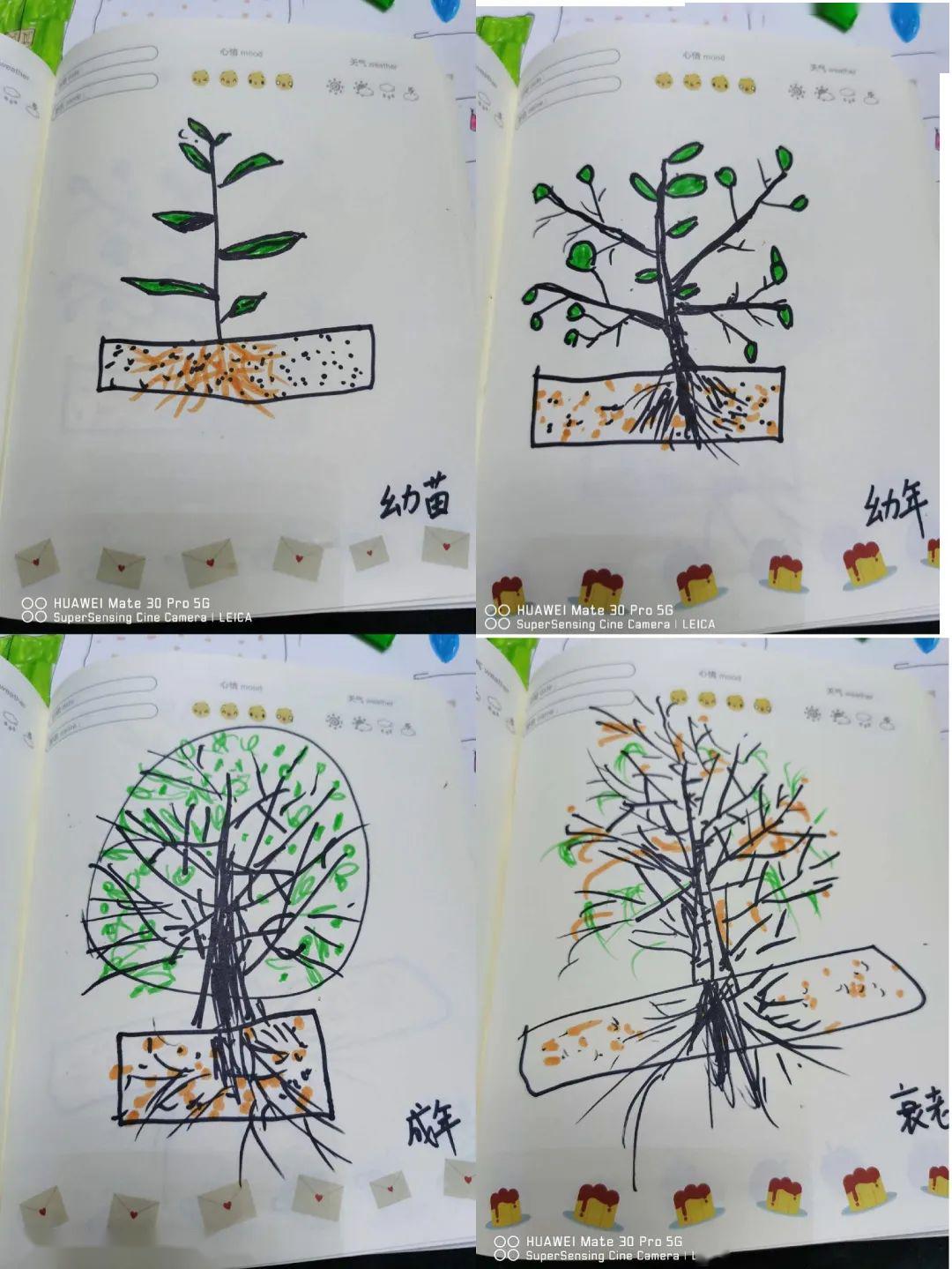 我了解的茶叶生产过程贰宝贝,我们来一起去