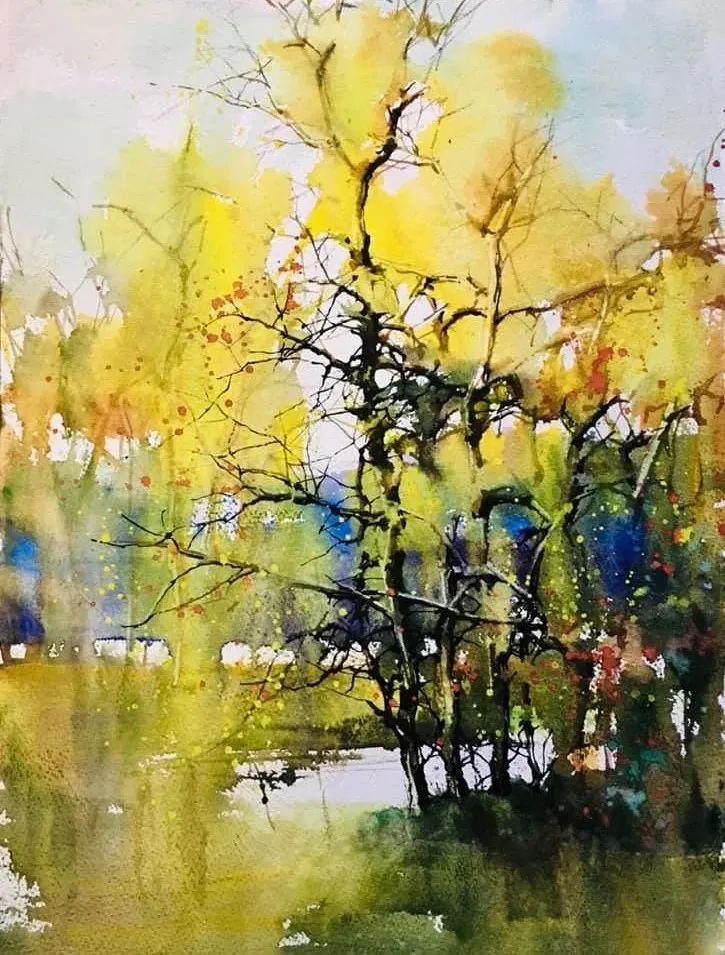 美国水彩画会,中国水彩画会,美国色粉画协会会员,现为莱德佛大学教授.