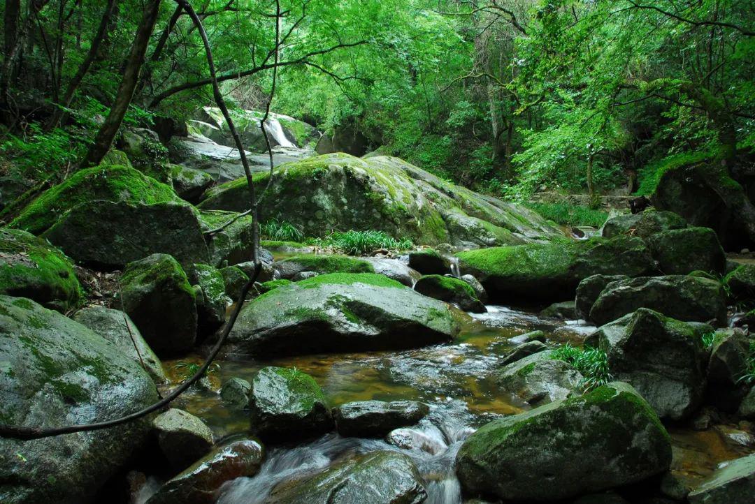 诗e中国行雨生百谷绿泽万户附音频