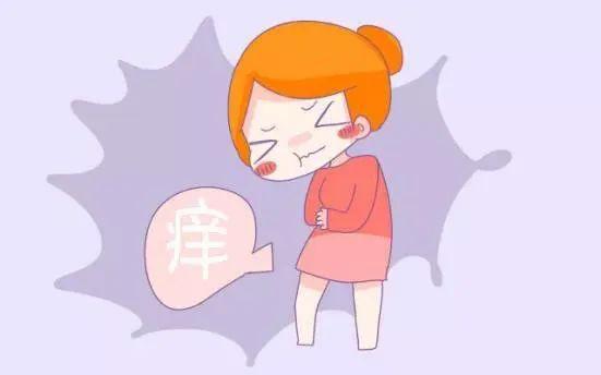 女性| 难言之痒_外阴