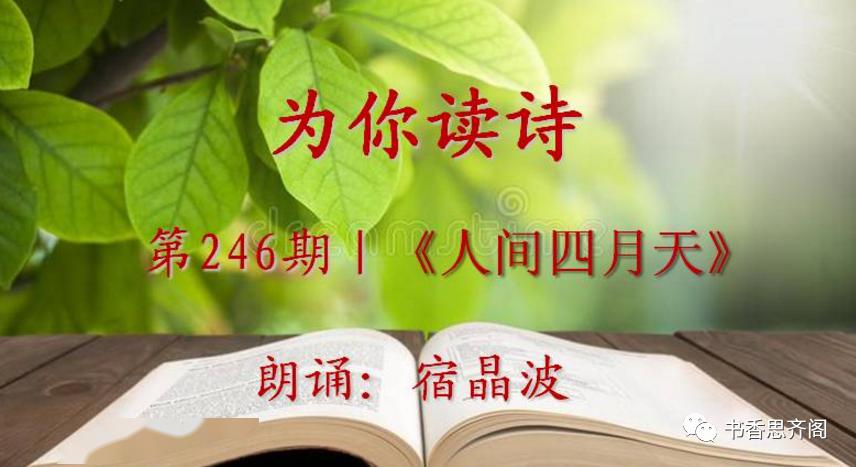 第246期「为你读诗」|《你是人间的四月天》朗诵:宿晶波
