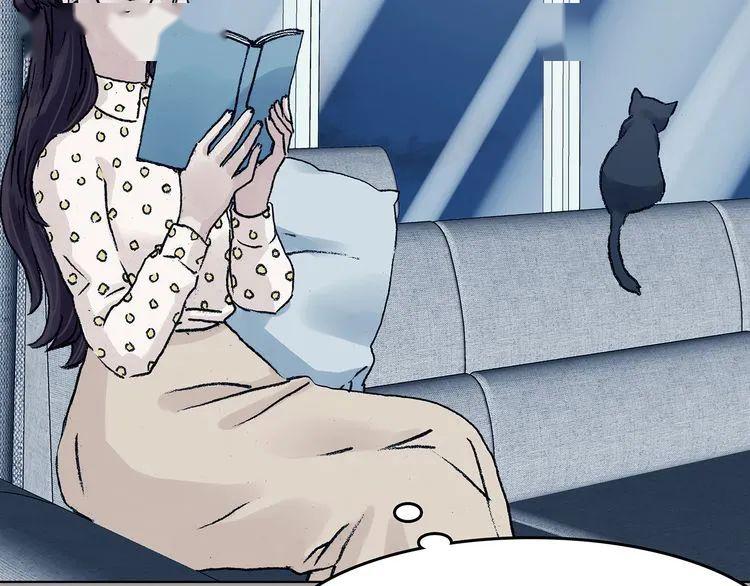 这么萌的小猫咪不养一只吗