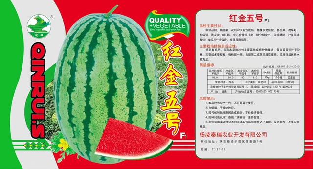 红金五号西瓜种子大果形抗病耐寒西瓜品种