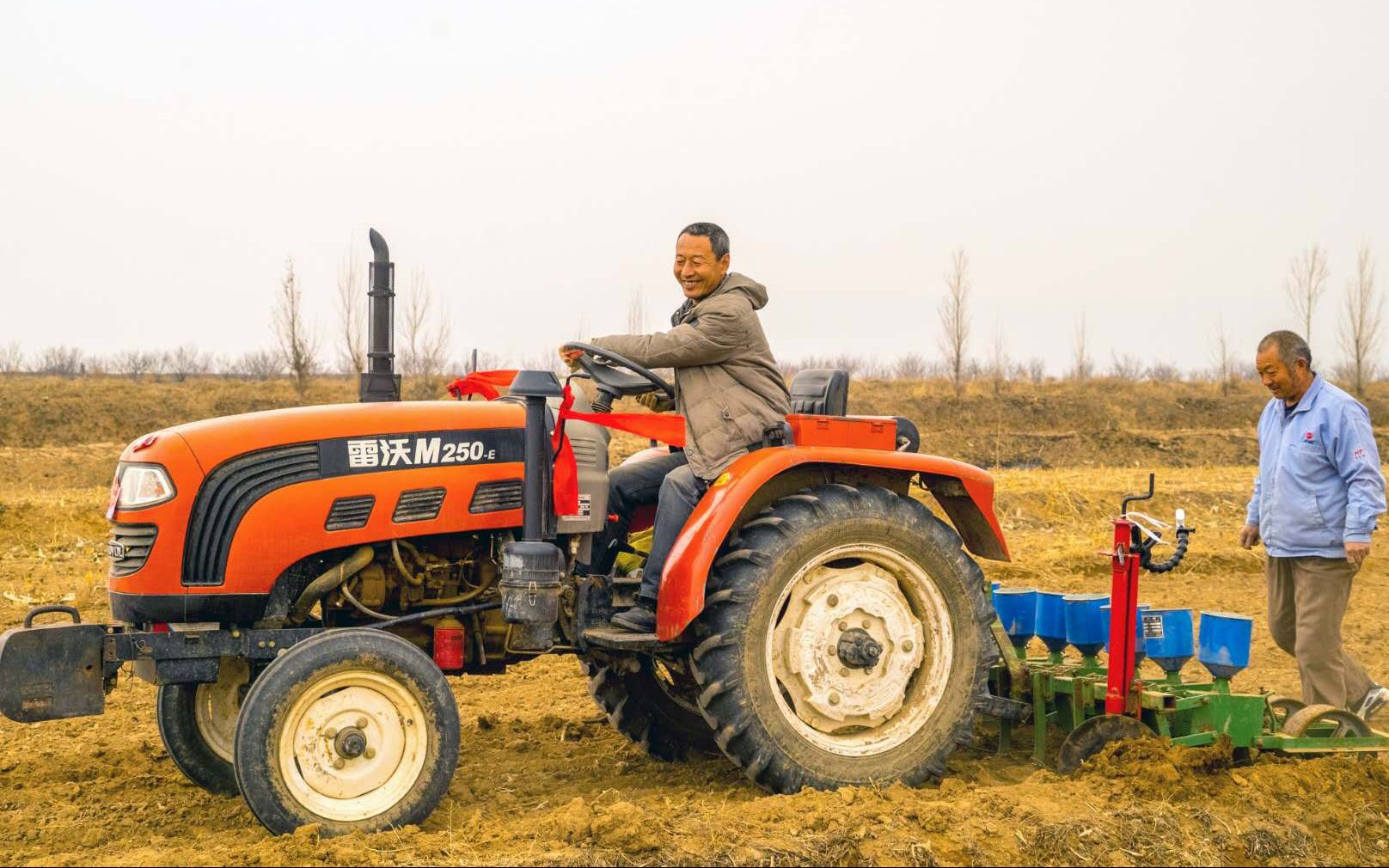 谷雨种豆 生态小农的鹰嘴豆还可以"养地"