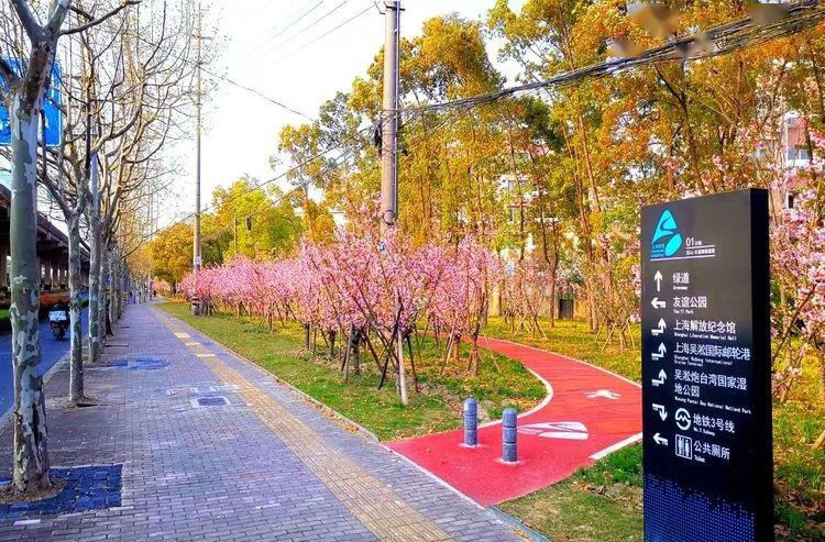 属于宝山的美丽家门口迎来一大波绿道海量美图惊艳亮相