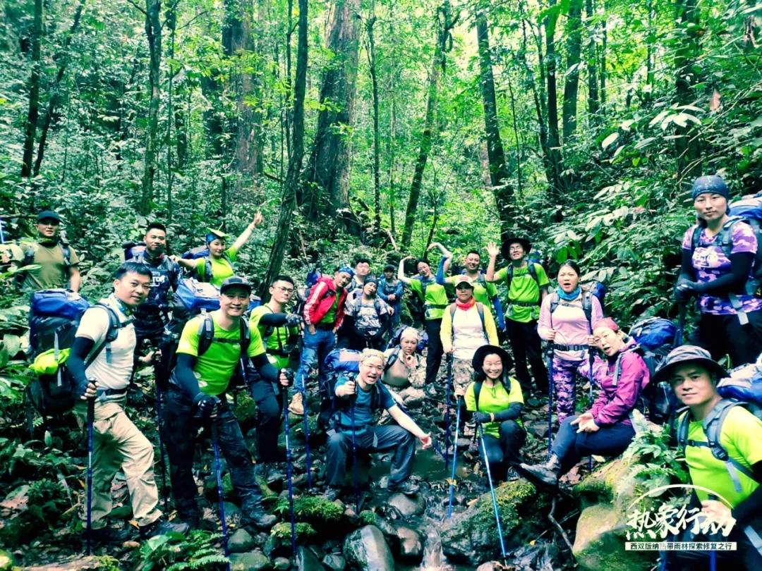 和諧之旅熱象行動西雙版納熱帶雨林探索修復之行