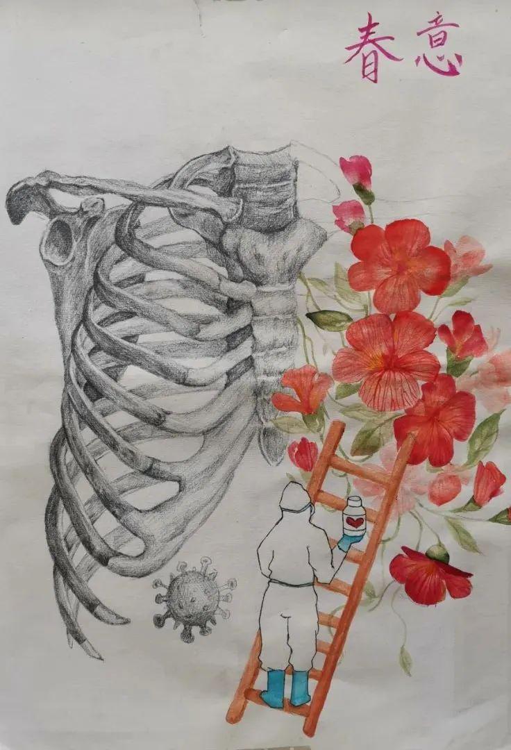 肺部绘画作品图片