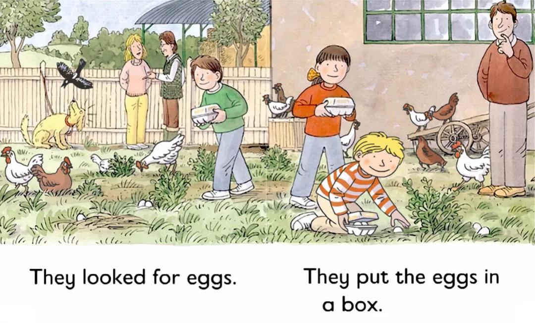 伴读牛津树213thebigegg