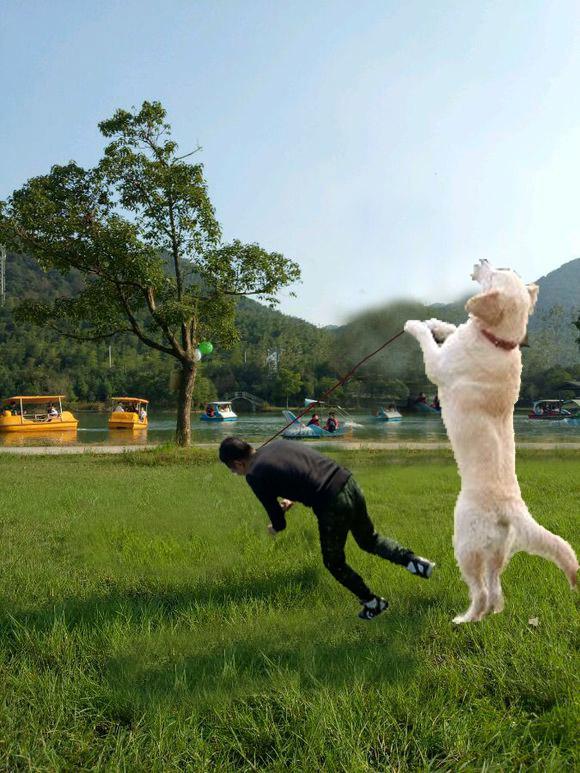 ps恶搞第106期:求大神p出摩托特技,这波p图可以笑一夜!