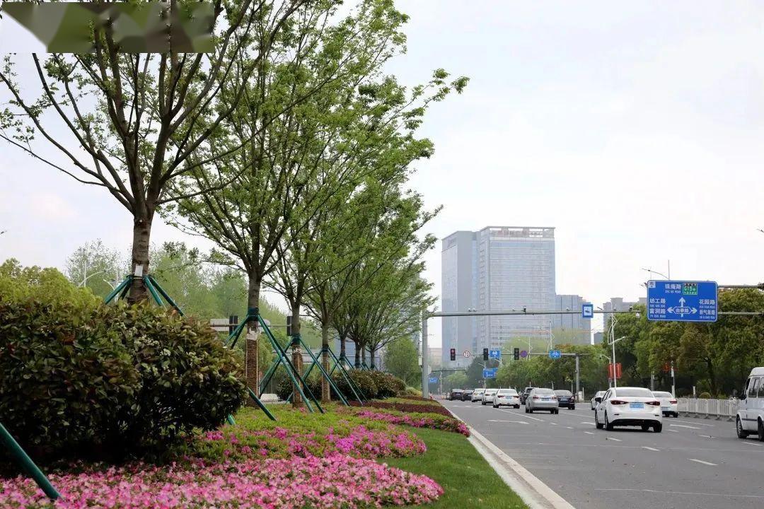 四季有景色彩分明南湖大道颜值再提升