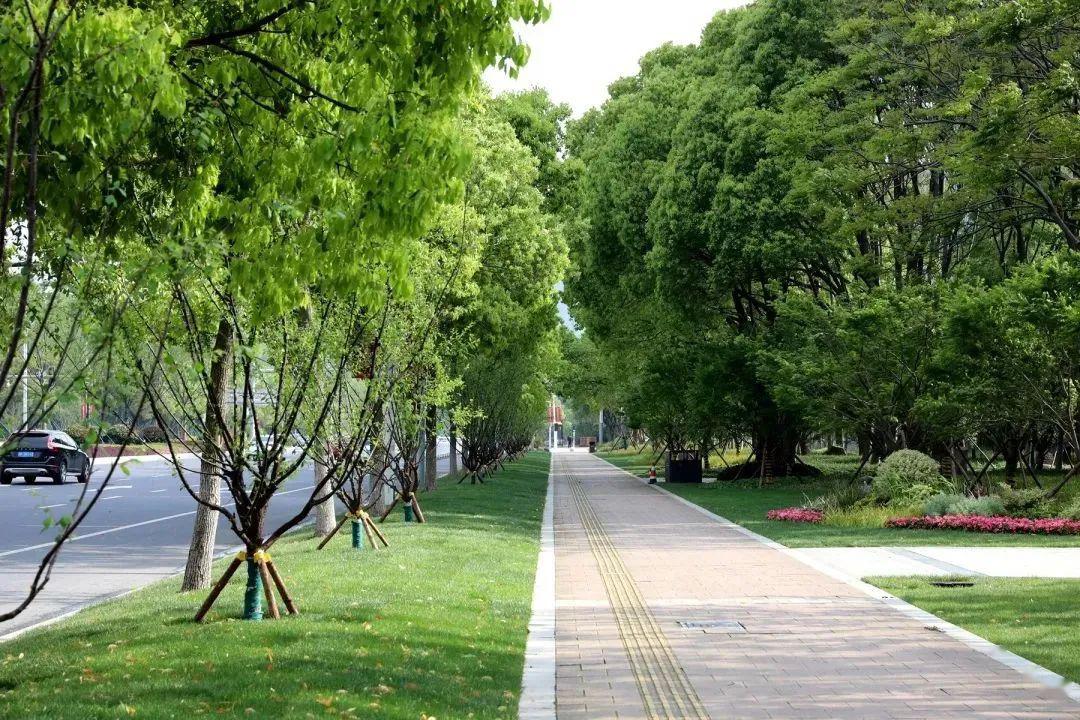 四季有景色彩分明南湖大道颜值再提升