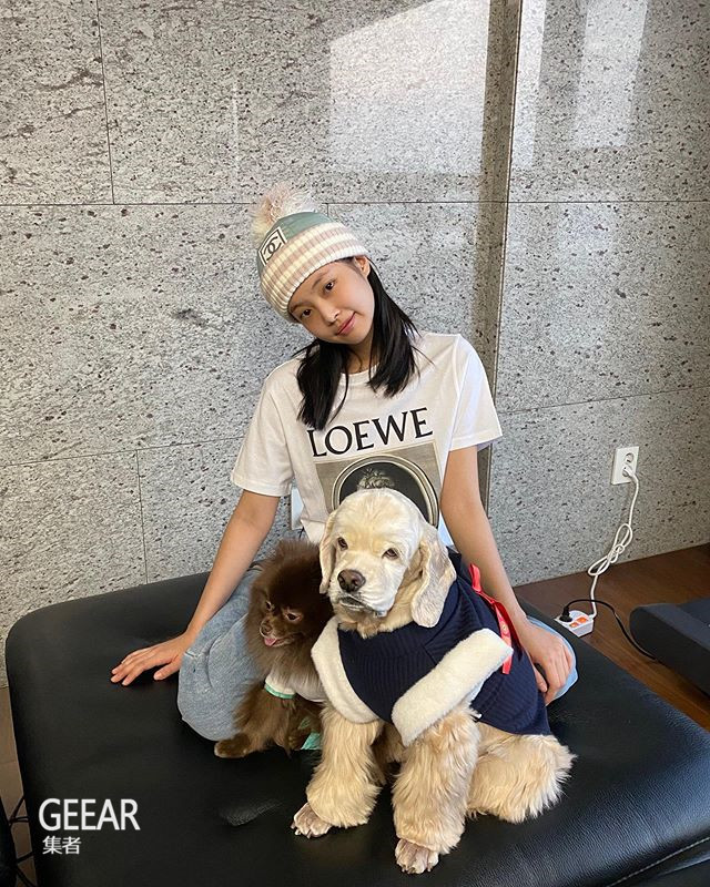 blackpink的jennie抱爱犬登上韩国《vogue》杂志封面