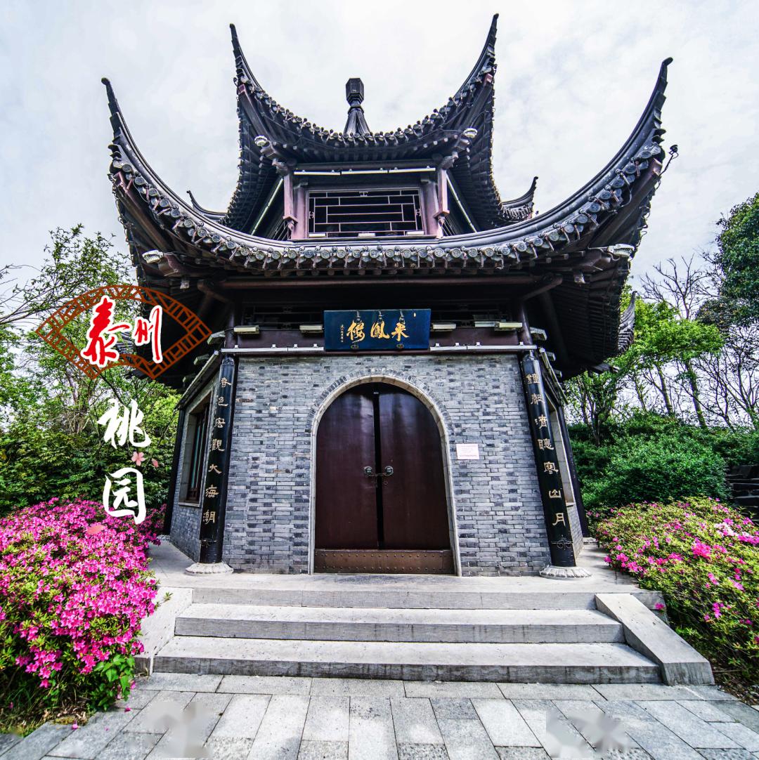 泰州桃园桃花扇成稿于此