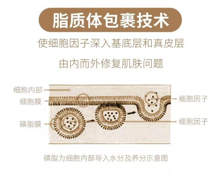 独有的脂质体包裹技术我觉得他们家的产品最大的