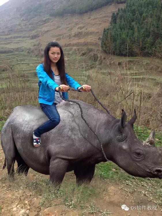 盘点无节操的ps成雷人搞笑图片