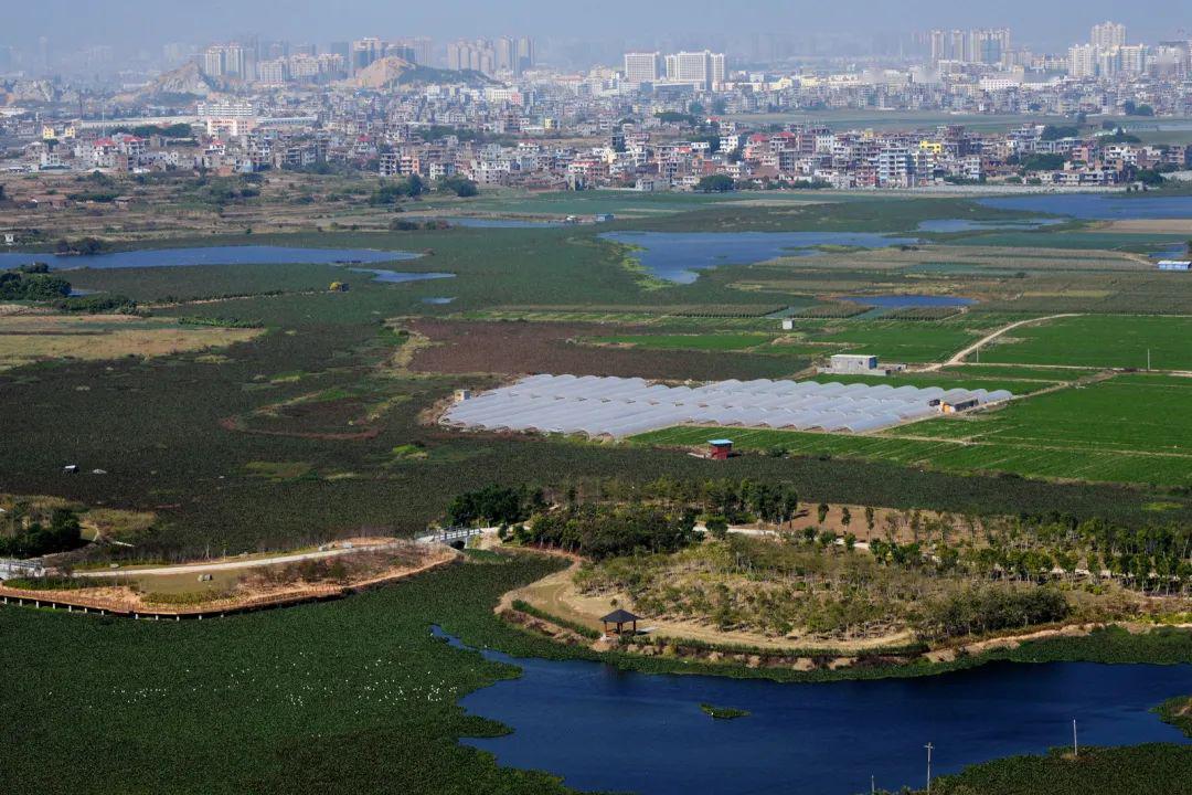 笏石历史变迁中的沿海重镇承载着珍贵的莆田人文底蕴
