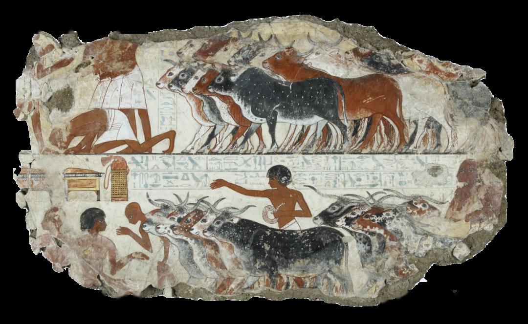 【小羽说画】第2集-古埃及壁画_陵墓