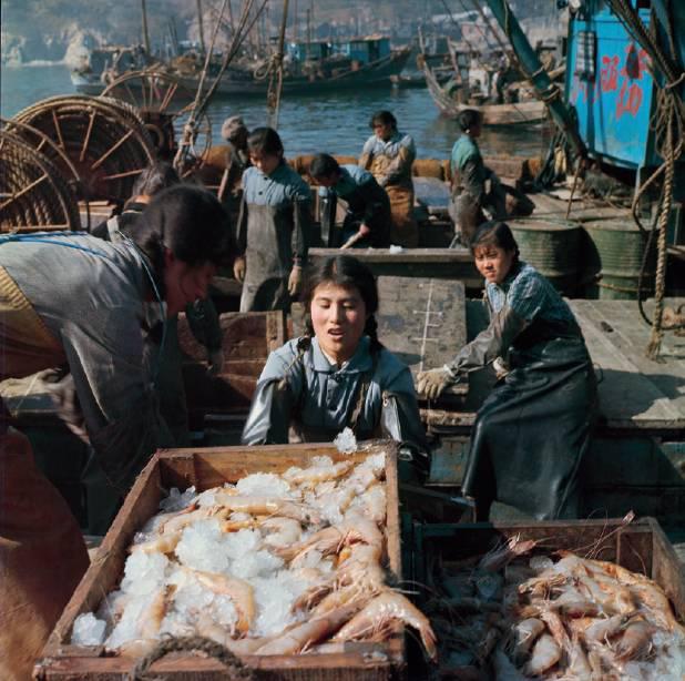 80年代渔民图片