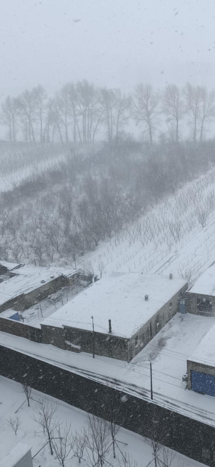 拜城县大雪图片