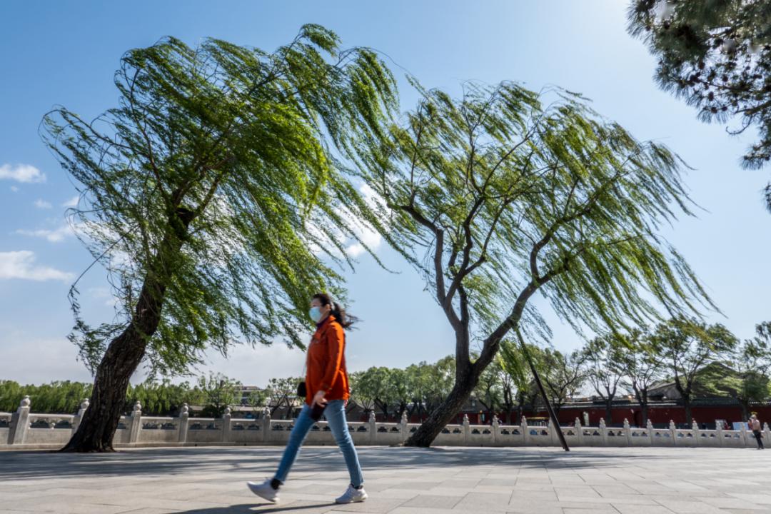别问我今天风有多大看图你就知道了
