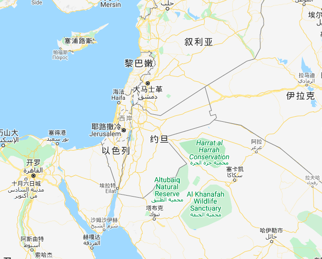 叙利亚战争中的党派之争,宗教打压,利益争夺_土耳其