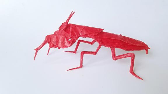折纸王子折姬螳螂3图片