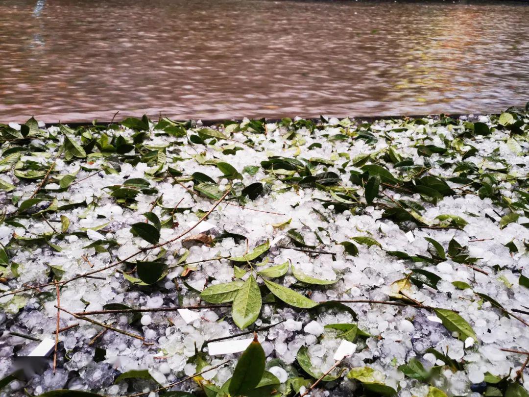 贵州3县遭冰雹灾害受损3亿元!本周,最低温降至10℃以下!