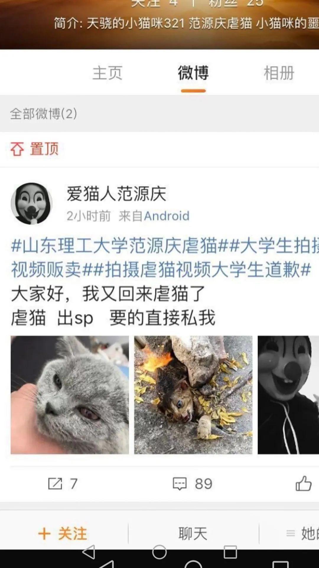 电钻爆体,火烧猫身,电击等极其野蛮残忍手段虐杀动物,并拍摄视频在