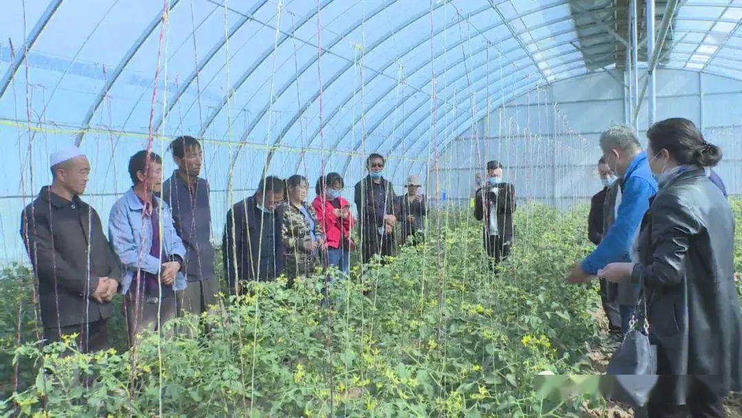 现代农业新趋势:走进中国农产品种植基地