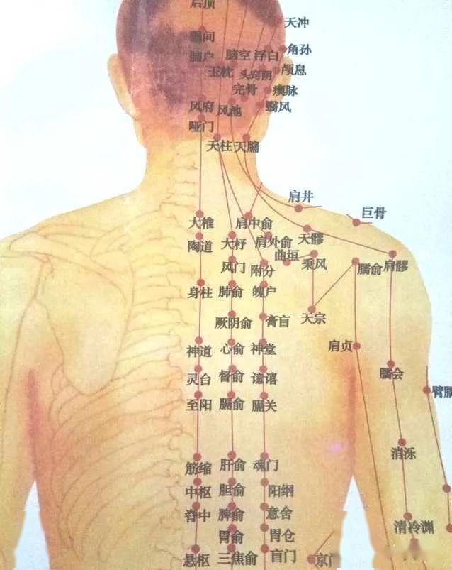 后背出痧部位对照图解图片