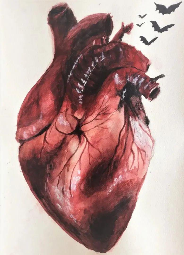 "系解月"解剖绘画大赛︱线上投票作品