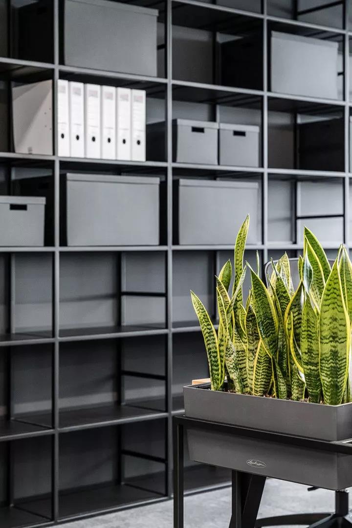 时尚红与黑德国hama波兰拉巴科沃总部办公改造设计欣赏