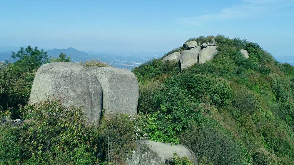 原创行走南康发现美之探访莲花山奇石