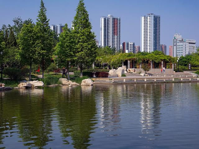 原创万紫千红总是春2020年邯郸龙湖公园春色美景