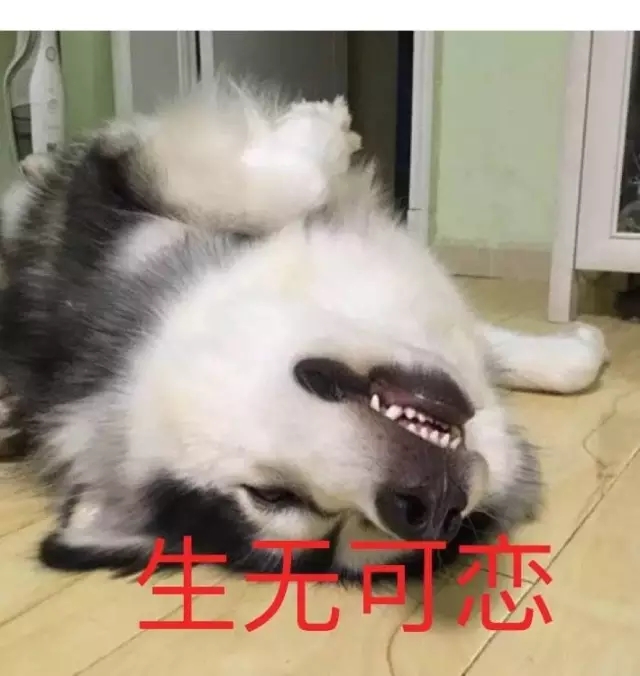 是不是生无可恋了?