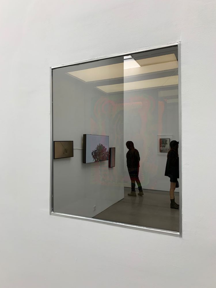 43位艺术家亮相spursgallery最新群展clean至暗时刻的艺术何为
