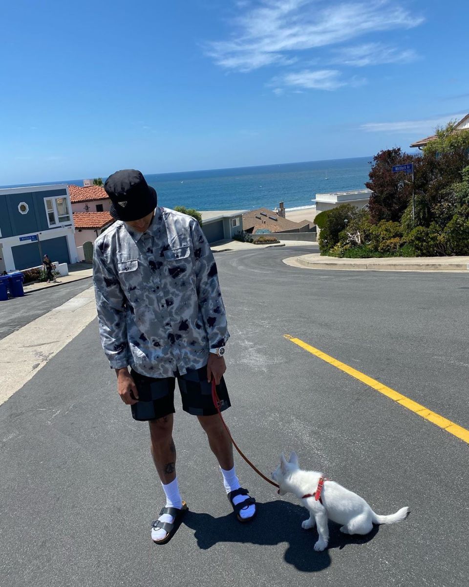 库兹马社媒晒图:戴帽更可爱 海边遛狗真休闲