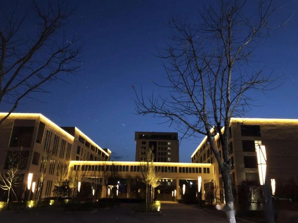 春风十里不如见你我的青师