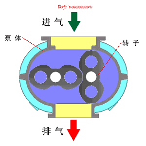 4,罗茨真空泵水环式真空泵工作原理:水环式真空泵叶片的叶轮偏心地装